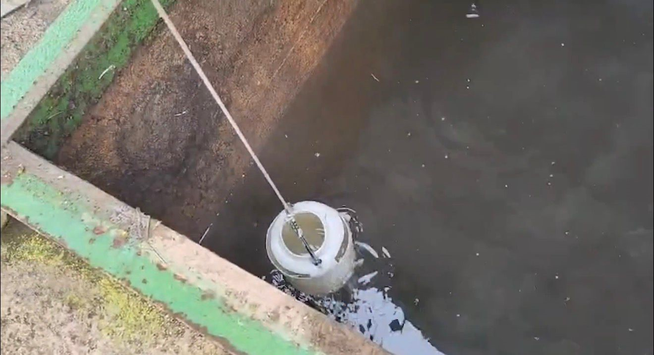 Bakanlık alarma geçti! Balıkesir Gönen Çayı'nda kapsamlı denetim