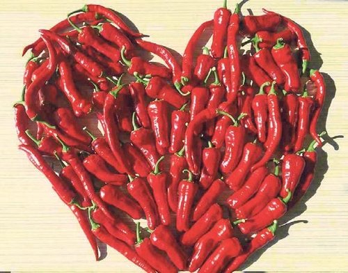 Sağlıklı yaşama atom çorba desteği