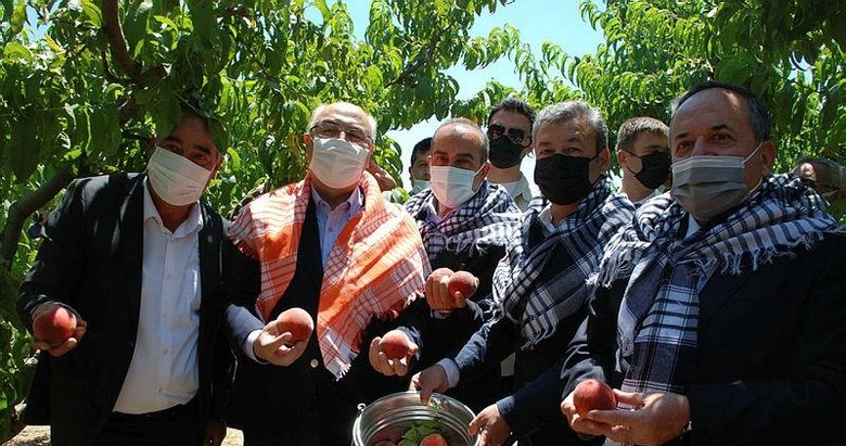 Erkenci şeftali gecikti, rekolte düştü