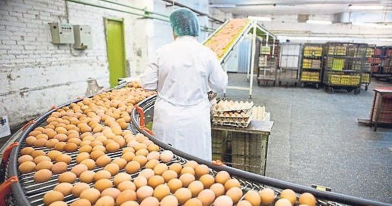 Yumurta fiyatında kartel iddiaları araştırılıyor
