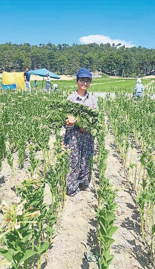 Müjdeli haberi tarlada aldı