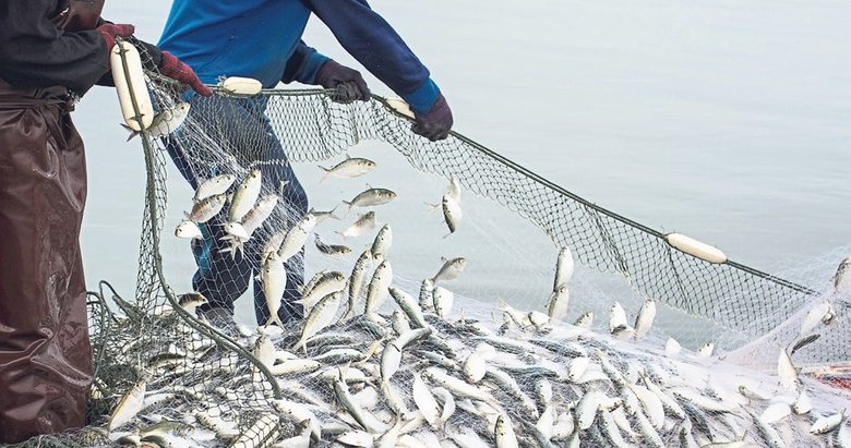 Su ürünleri sektöründe aslan payı Egelilerin