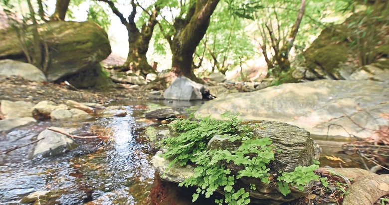Ana tanrıçanın gizemli kentine yolculuk