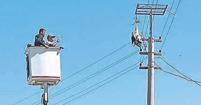 Söke’de leylek operasyonu