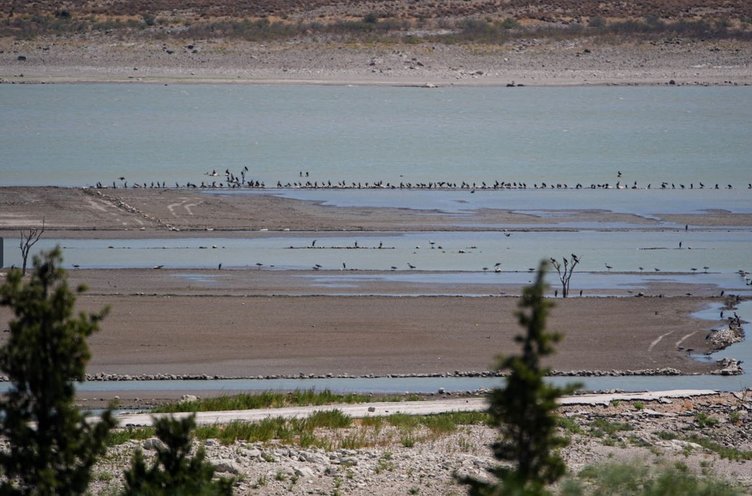 İzmir Çeşme’de kuraklık çanları! Baraj kurudu, eski yol ortaya çıktı!