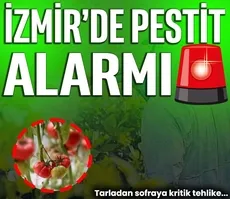 İzmir’de pestisit alarmı