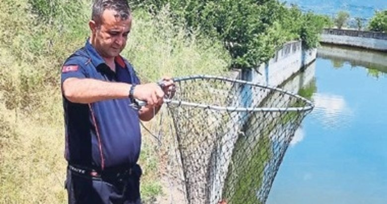 Bozdoğan’da sulama kanalına düşen kartal kurtarıldı