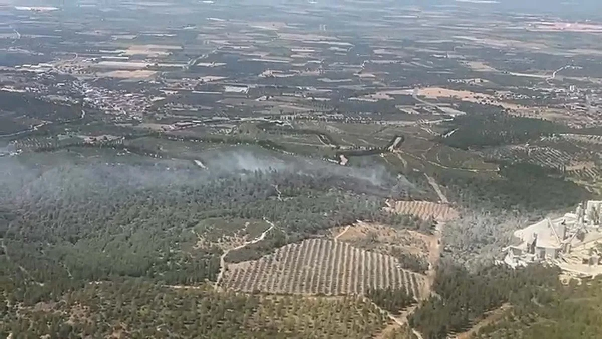 Manisa'da orman yangını!