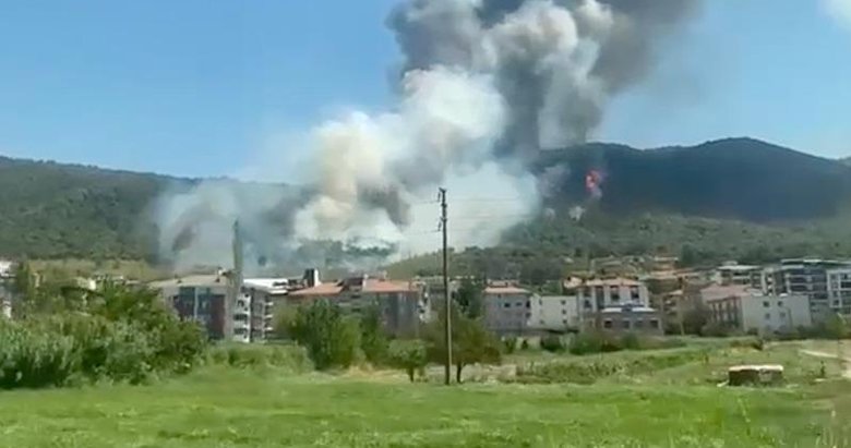 Son dakika: Manisa Soma’da orman yangını