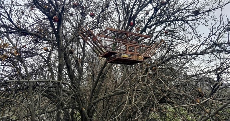 Tuzakla saka kuşu avlayan 2 kişiye 8 bin 300 lira ceza