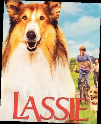 Beyazperdede BU HAFTA