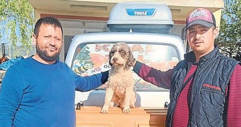 Trüf mantarı avcısı ‘Radar’ bulundu