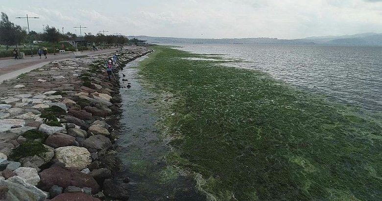 Karsiyaka Sahilinde Kotu Koku Kabusu Denizi Yosunlar Sardi Izmir Haberleri