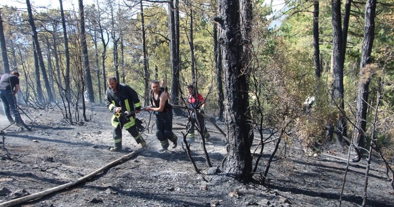 Vatandaşların kazma küreklerle koştuğu orman yangını söndürüldü