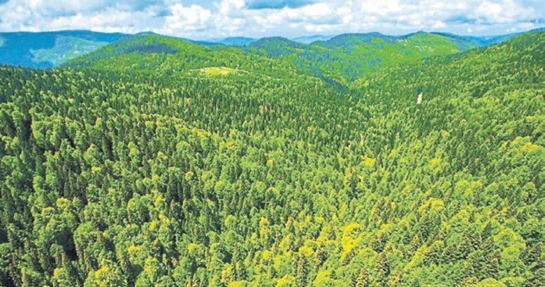 OGM hazır: Havadan müdahale gücü artırıldı