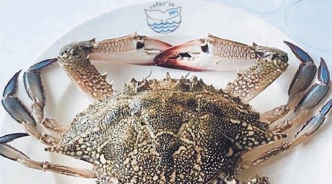 Kordon’da balık ve deniz ürünleri keyfi