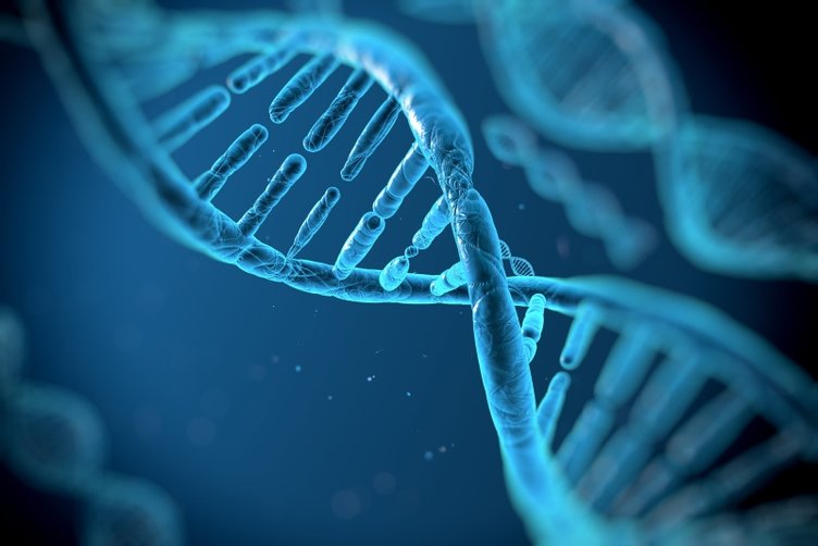 Yaşam süresi artık tahmin edilebilecek! DNA, yaşam süresi hakkında ipuçları veriyor
