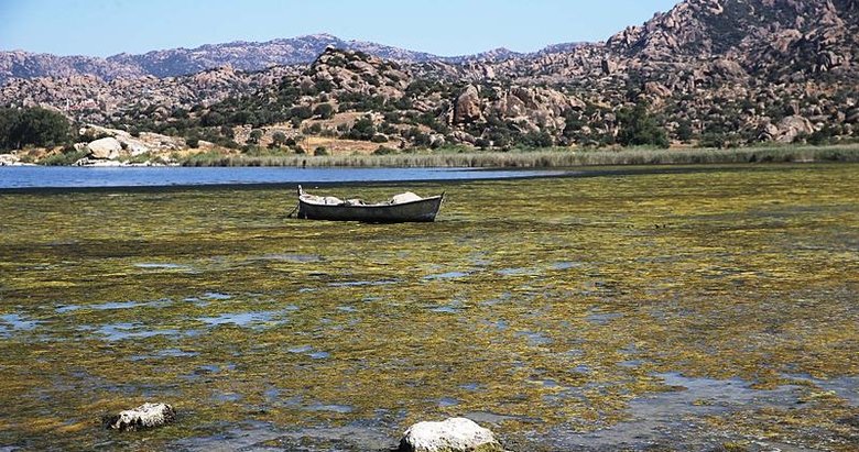 Bafa’daki kirlilik tarım arazilerini kurutuyor