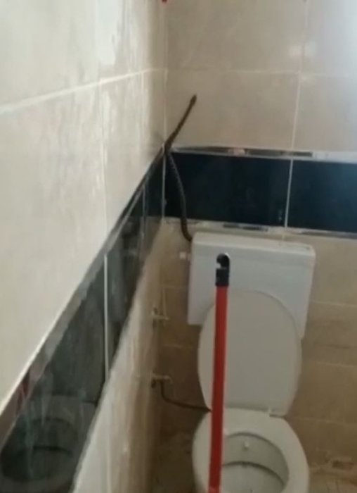 Yüzünü yıkamak için banyoya girdi hayatının şokunu yaşadı