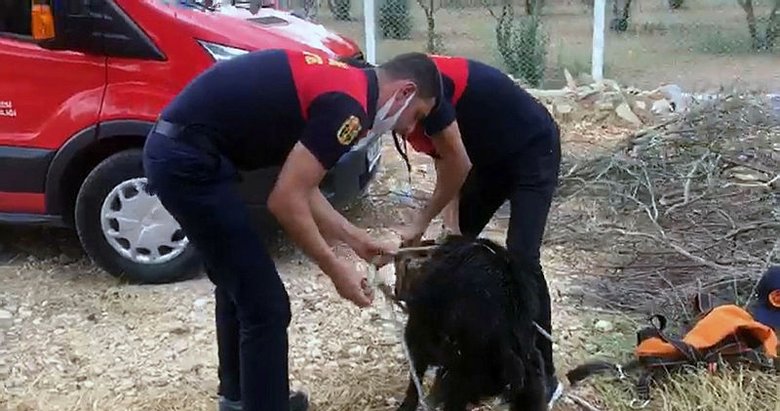 Alev savaşçılarının can kurtarma operasyonu