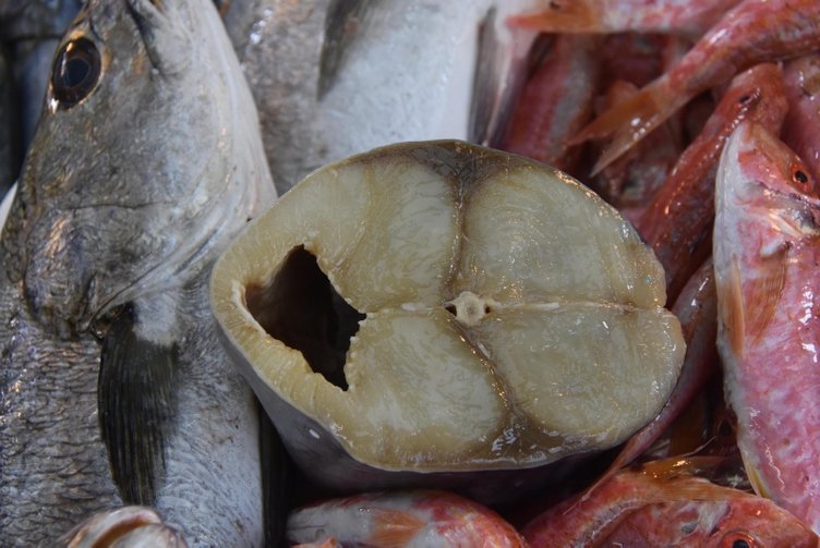 Balık alırken dikkat! Palamut, torik ve tombik balıklarından nasıl ayırt edilir?