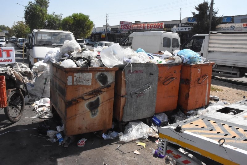 İzmir Çiğli’de çöpler toplanmadı, esnaf fare kovaladı! Vatandaştan CHP’li belediyeye tepki