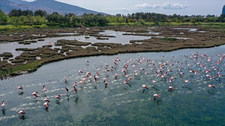 Hafta sonu planınızı bakmadan yapmayın! Ege’nin incisi İzmir’de gezilecek yerler