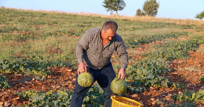 Uşak’ta kurallar Çıtır Cemile ile değişiyor