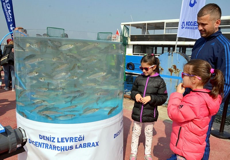 6 bin balık yavrusu bırakıldı