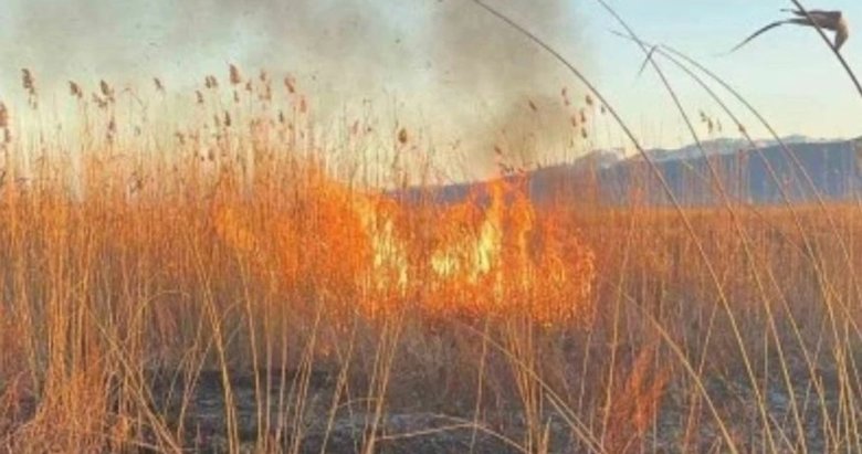 Eber Gölü’nü yakmaya çalışanlara 5 milyonluk ceza
