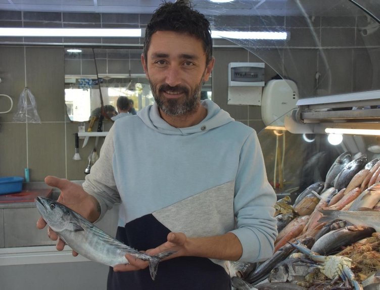 Balık alırken dikkat! Palamut, torik ve tombik balıklarından nasıl ayırt edilir?