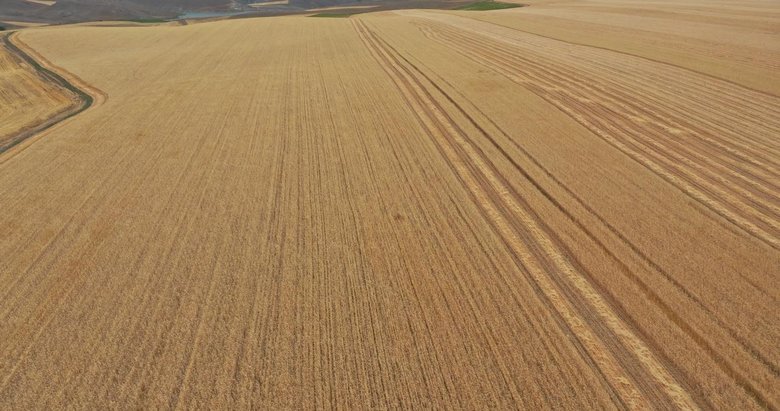 Üst üste 2 yıl işlenmeyen tarım arazileri kiraya verilecek