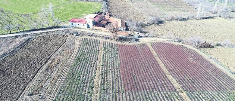 Çanakkaleli mühendisin hedefi: 500 bin meyve fidanı