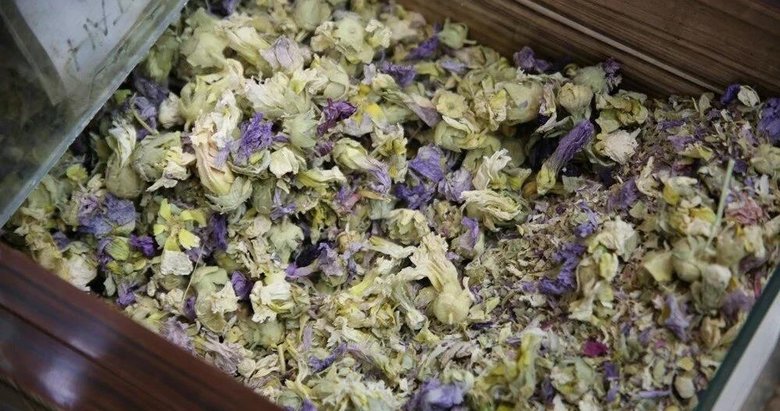 Öksürüğü geçmeyen soluğu orada alıyor: Bu bitkilere talep patladı