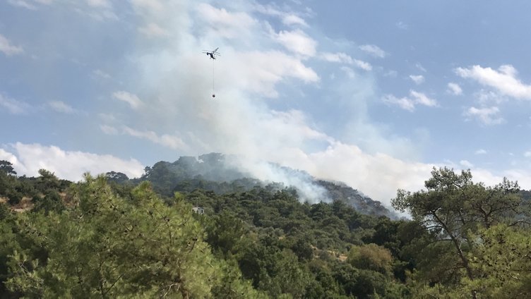 Muğla Bodrum’da orman yangıını