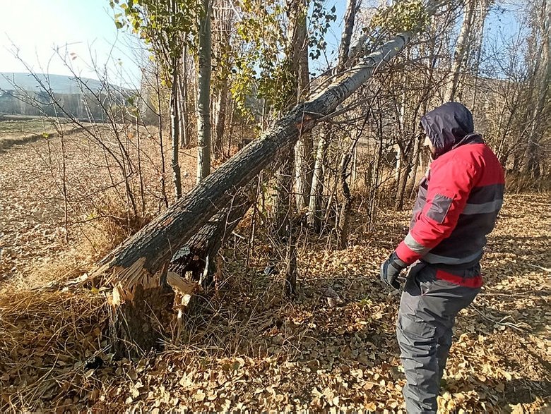 Korkunç şekilde can verdi! Kazanın şiddeti kan dondurdu
