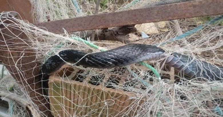 itfaiye ekiplerini seferber