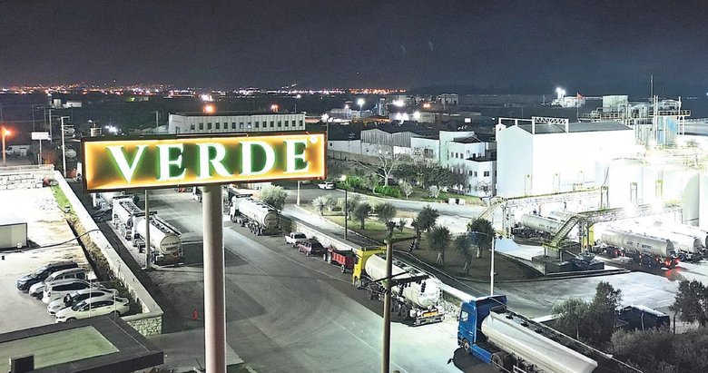 Türkiye’nin zeytinyağında yurt dışına açılan kapısı Verde