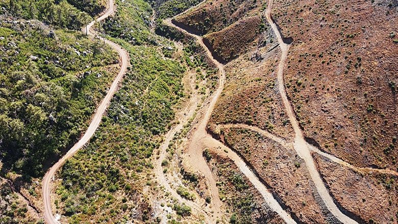 Binlerce hektar alan küle dönmüştü! Muğla’da sevindiren görüntü