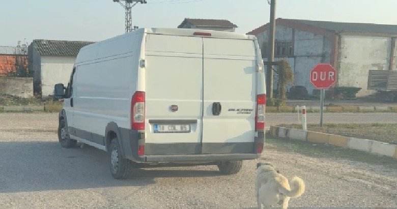 Balıkesir’de utandıran görüntü! Köpeği kamyonet arkasına bağlayarak sürüklediler