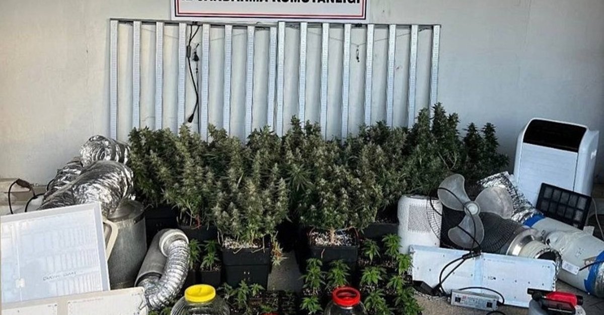 Kocaeli'de inanılmaz görüntüler! Uyuşturucu operasyonu Evler sera, tuvaletler laboratuvar…