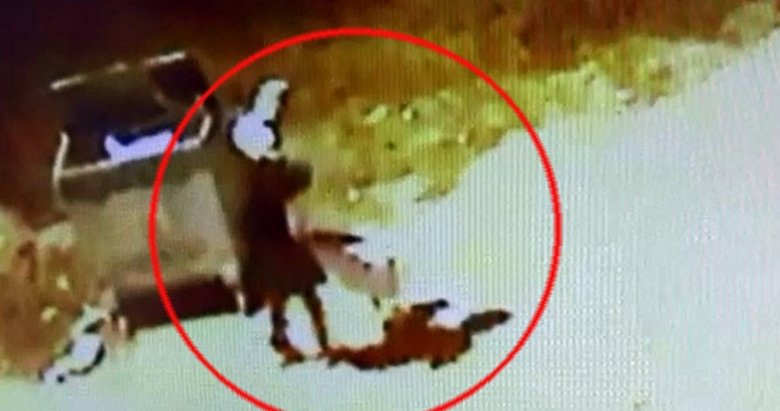 Bir pitbull saldırısı da Denizli’de! 13 yaşındaki çocuğun korku dolu anları kamerada