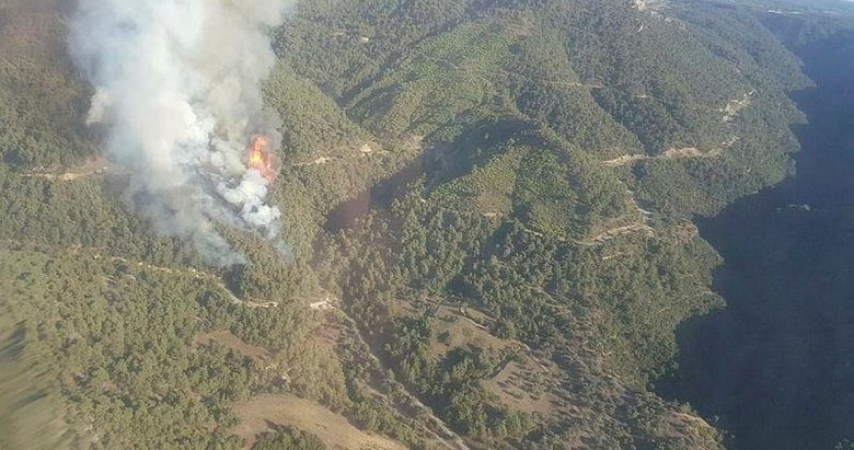 Manisa’da orman yangını çıktı
