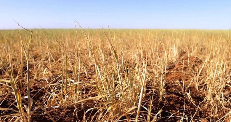 Prof. Dr. Demir: Tarımsal kuraklık riski var