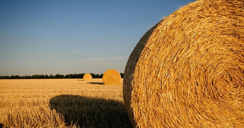 Saman ve Lif Ürünlerinde Büyüyen Pazar