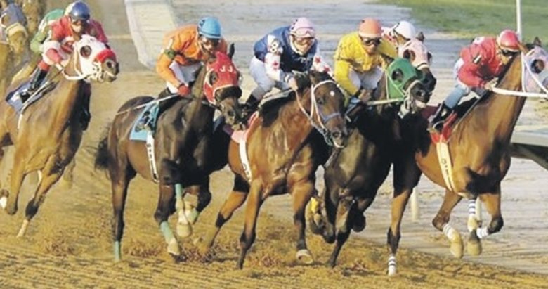 Altılı ganyan 41.408 lira ikramiye verdi