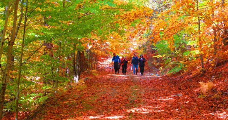 Kaz Dağları sonbahar renkleriyle şenlendi