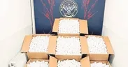 Karabağlar’da 25 milyonluk baskın