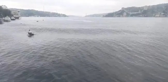 Marmara’da tsunami riski var mı? Prof. Dr. Şükrü Ersoy’dan deprem sonrası dikkat çeken açıklama