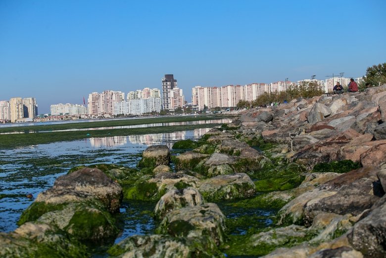 Deniz marulları İzmir Körfezi’ni yeşile bürüdü